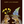 GREETING CARD- Anniversary Chipmunks Card Gold Foil - Pleasant Beach Living