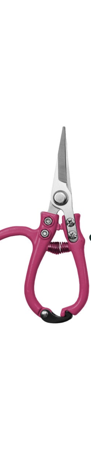 Carbon steel garden pruning shears with enameled handle from CCOI, designed for precise and easy garden pruning tasks.