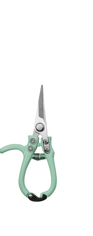 Carbon steel garden pruning shears with enameled handle by CCOI, ideal for trimming and gardening tasks.