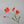 Colorful 22-inch silk poppy floral stem with flocked petals, perfect for decorative floral arrangements by Sweet Home Deco.