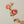 FLOWER-Italian Rose - Pleasant Beach Living