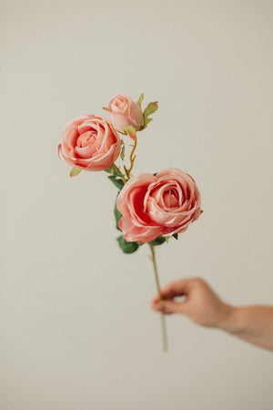 FLOWER-Italian Rose - Pleasant Beach Living