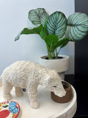 ANIMALS-  Knitted Boucle White Bear Dia 11.8" SMALL - Pleasant Beach Living