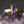 JEWELRY-RING, Amethyst  Rectangle Ring on a Hand Hammered Golden Band - Pleasant Beach Living
