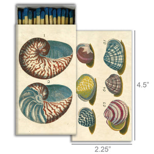 MATCHES - 18th Century Shells