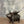 Iron pig statue with wings on a wooden surface, set against a textured gray background.