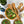KITCHEN- BOWL- Olive Wood Family Salad Bowl- 11