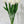 FLOWERS-Latex Real Touch Tulips- Set of 10 - Pleasant Beach Living