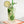 DINING-NAPKINS- COCKTAIL- Seersucker Cocktail Napkins, set of four - Pleasant Beach Living