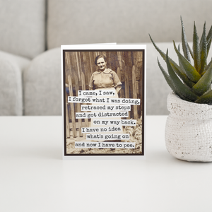 Funny greeting card by Raven's Rest Studio featuring humorous text: "I Came, I Saw, I Forgot What I Was Doing" on a colorful background.