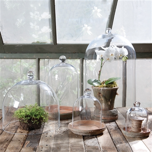 CANDLE-GLASS DOME - Mini - Clear - Pleasant Beach Living