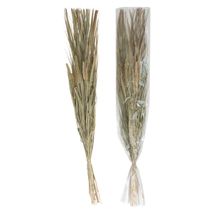 38"H Dried Natural Canary Grass & Date Palm Bunch