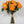 FLOWERS-ROSES- 15''T Silk Spring Rose Bouquet,13 Single Stem Roses Bunch - Pleasant Beach Living