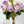 FLOWERS-ROSES- 15''T Silk Spring Rose Bouquet,13 Single Stem Roses Bunch - Pleasant Beach Living