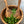 KITCHEN- BOWL- Olive Wood Family Salad Bowl- 11