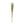 Dried Natural Love Grass Bunch, Mint Color