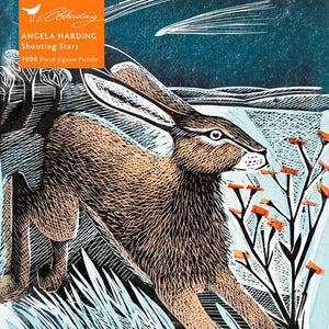 Hare running under a dark sky with shooting stars and orange flowers in the foreground.
