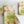Set of four Dragonfly Garden cloth dinner and cocktail napkins by Dot and Army, featuring elegant floral and dragonfly designs.
