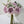 FLOWERS- Silk Austin Rose Bouquet - Pleasant Beach Living
