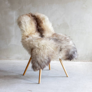 SHEEPSKIN- Texel sheep fleece blue Texel - Pleasant Beach Living