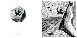 BOOK- Countryside Coloring Book
