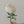 FLOWER-English Rose (SILK) - Pleasant Beach Living