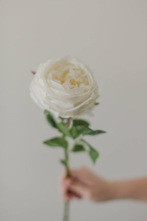 FLOWER-English Rose (SILK) - Pleasant Beach Living