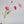 Colorful 22-inch silk poppy spray with flocked floral stem, vibrant and realistic floral decoration by Sweet Home Deco