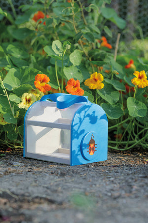 Wooden Beetle and Bee Critter Case from Toysmith, FSC certified outdoor play toy, featuring colorful critter designs and a sturdy case.