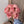 Vintage Burnt Rose faux bouquet with 7 stems, 17-inch artificial flowers from Sweet Home Deco featuring realistic rose plants.