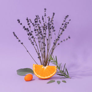 BATH-LOTION- SMALL LOTION-COMPAGNIE DE PROVENCE - Pleasant Beach Living