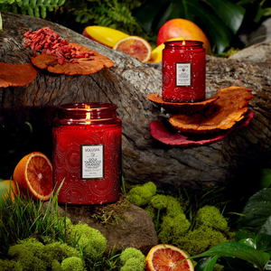 CANDLE- VOLUSPA- Goji Tarocco Orange 5.5oz Small Jar - Pleasant Beach Living