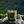 CANDLE- VOLUSPA- Temple Moss Classic Candle - Pleasant Beach Living