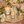 Voluspa Jasmine Midnight Bloom reed diffuser in a 3.4oz bottle, featuring elegant design with fragrant floral scent.
