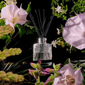 Voluspa Jasmine Midnight Bloom reed diffuser with 3.4oz glass bottle and reed sticks, fragrant home decor from Pleasant Beach Living