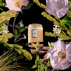 CANDLE- Voluspa- Jasmine Midnight Bloom-5.5oz. - Pleasant Beach Living