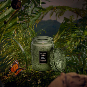 Green embossed candle jar with a lid, surrounded by lush foliage and a vibrant orange butterfly.