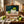 Painting of green apples in a bowl on an easel, surrounded by real apples and rosemary sprigs.
