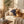 Golden retriever on a beige couch with a cushion featuring a blue dog silhouette, in cozy sunlight.