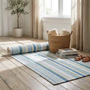 Striped blue rug on wooden floor, wicker basket with towels, books, sandals, and potted plant nearby.