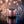 Rose gold speaker with water droplets and ripples on a reflective surface, set against a blurred bokeh.