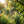 Colorful hanging ornaments with animal figures, beads, and circles on a tree branch in a sunny garden.