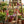 Rustic wooden ladder with colorful fabric bunting, surrounded by potted plants and garden tools.
