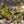 Colorful fabric bunting and string lights above a garden table with plants, fruits, and drinks.