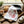 Rooster Kitchen Towel