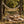 Rustic picnic setup with bunting, wooden table, cushions, dried flowers, and food in a forest setting.
