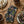 DINING-NAPKINS- DINNER AND COCKTAIL- Nature Walk Cloth Napkins, set of four - Pleasant Beach Living