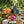 Colorful puffer bags on a wooden bench in a sunlit garden with lush green plants.