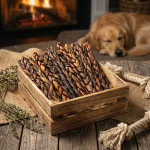 Jumbo braided collagen stick dog chews from Jojo Modern Pets, 12-inch natural dog treats for chewing and dental health.