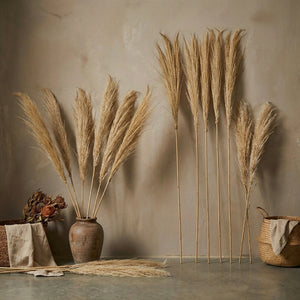 Dried natural tiger grass on bamboo pole with orange-brown color, ideal for faux and dried botanical decor.